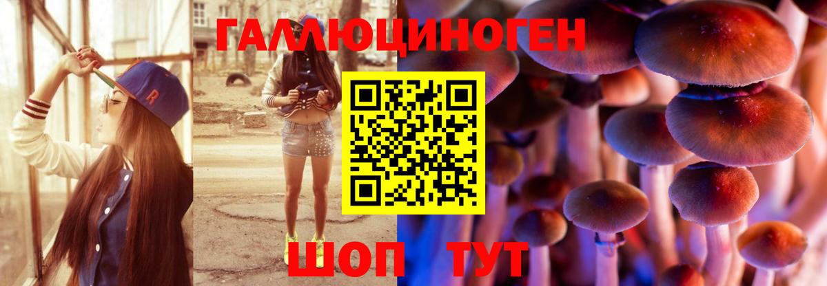 Псилоцибиновые грибы GOLDEN TEACHER Лысьва